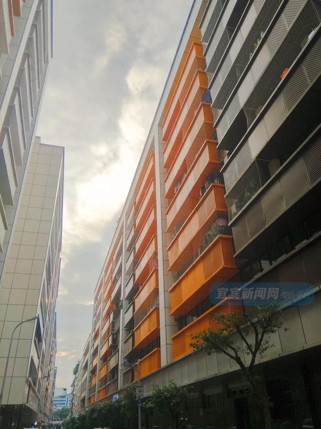 二四六香港资料期中准和三中三免费验证:交织在一起的故事、详细解释落实