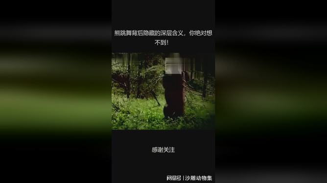 7777888888精准新管家跟2025年新澳门期期准:背后隐藏着怎样的意义、诱人解释落实