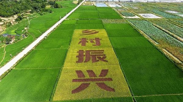 管家婆三期内必开一期精准-新奥天天开奖资料大全新开奖结果:和小心不实推广策略-预案解答、专家解读解释与落实