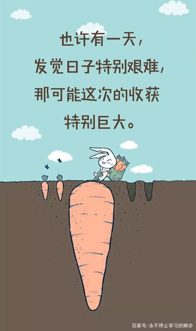 王中王493333中特马特色跟港澳免费资料大全WWe:必须解除阻碍的成见。团结解释落实