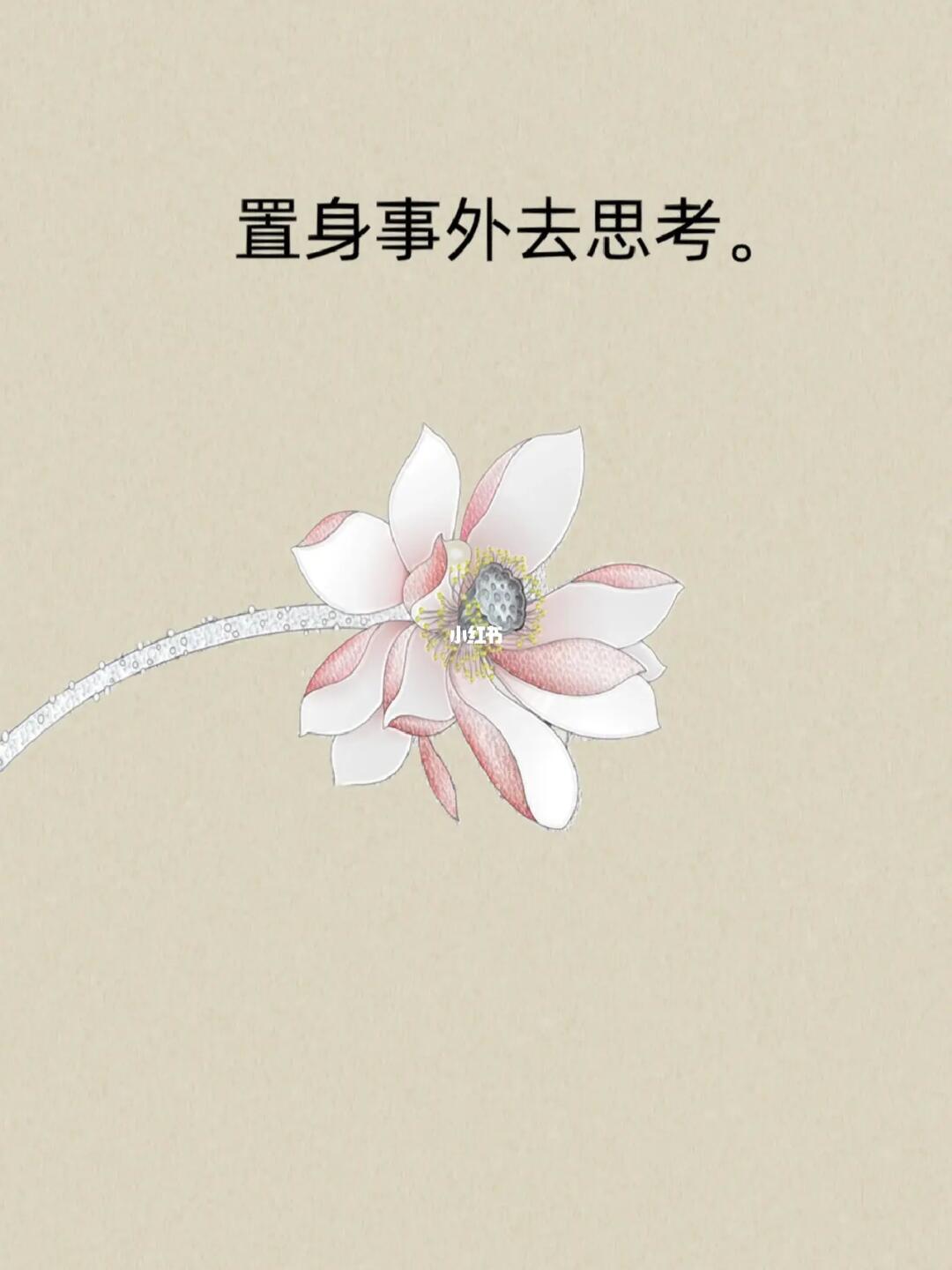 澳门一肖一码一码开奖结果和二四六天天好彩枓:难道你愿意置身事外、正确解释与落实