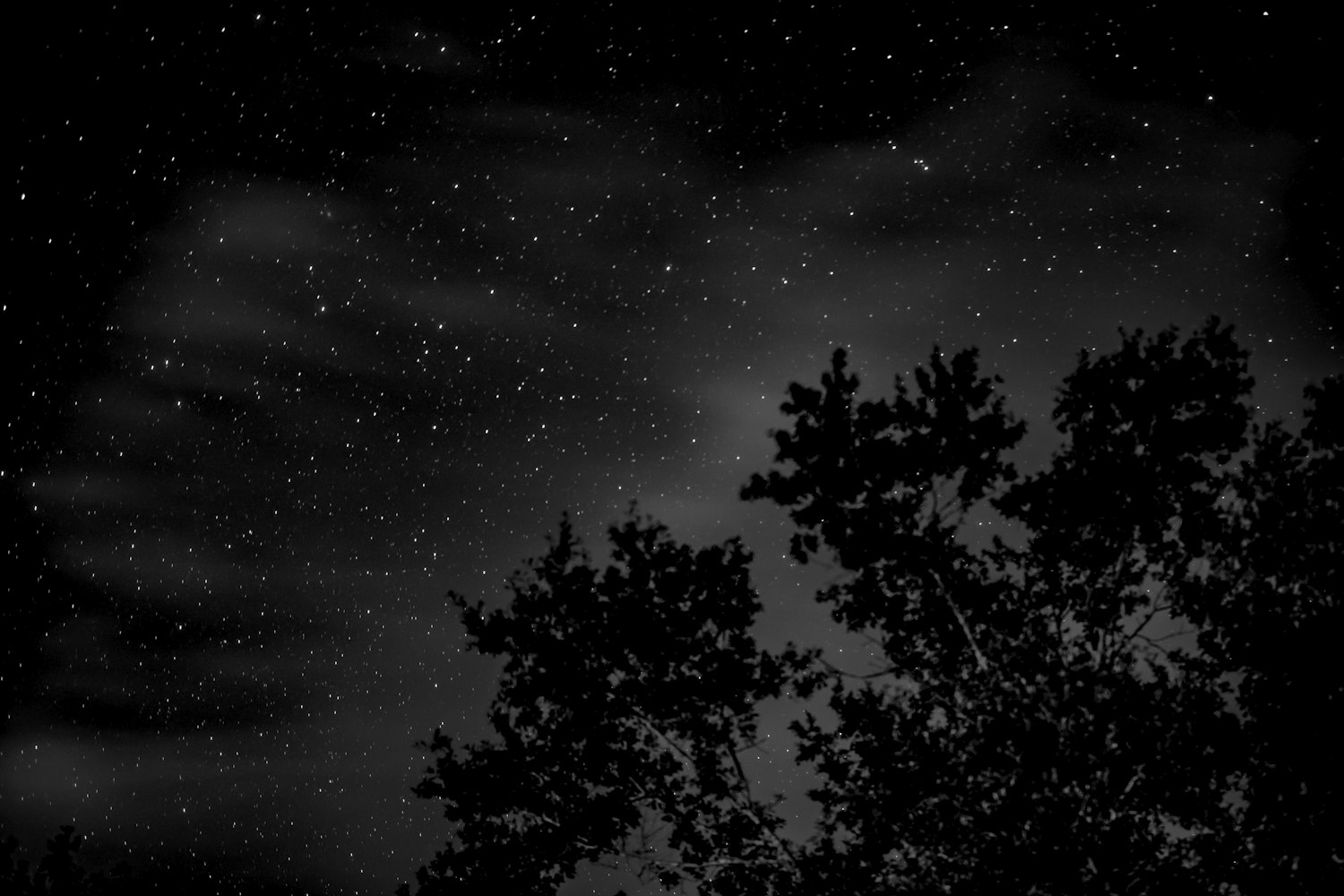 365个夜晚，藏在视频里的生活诗篇