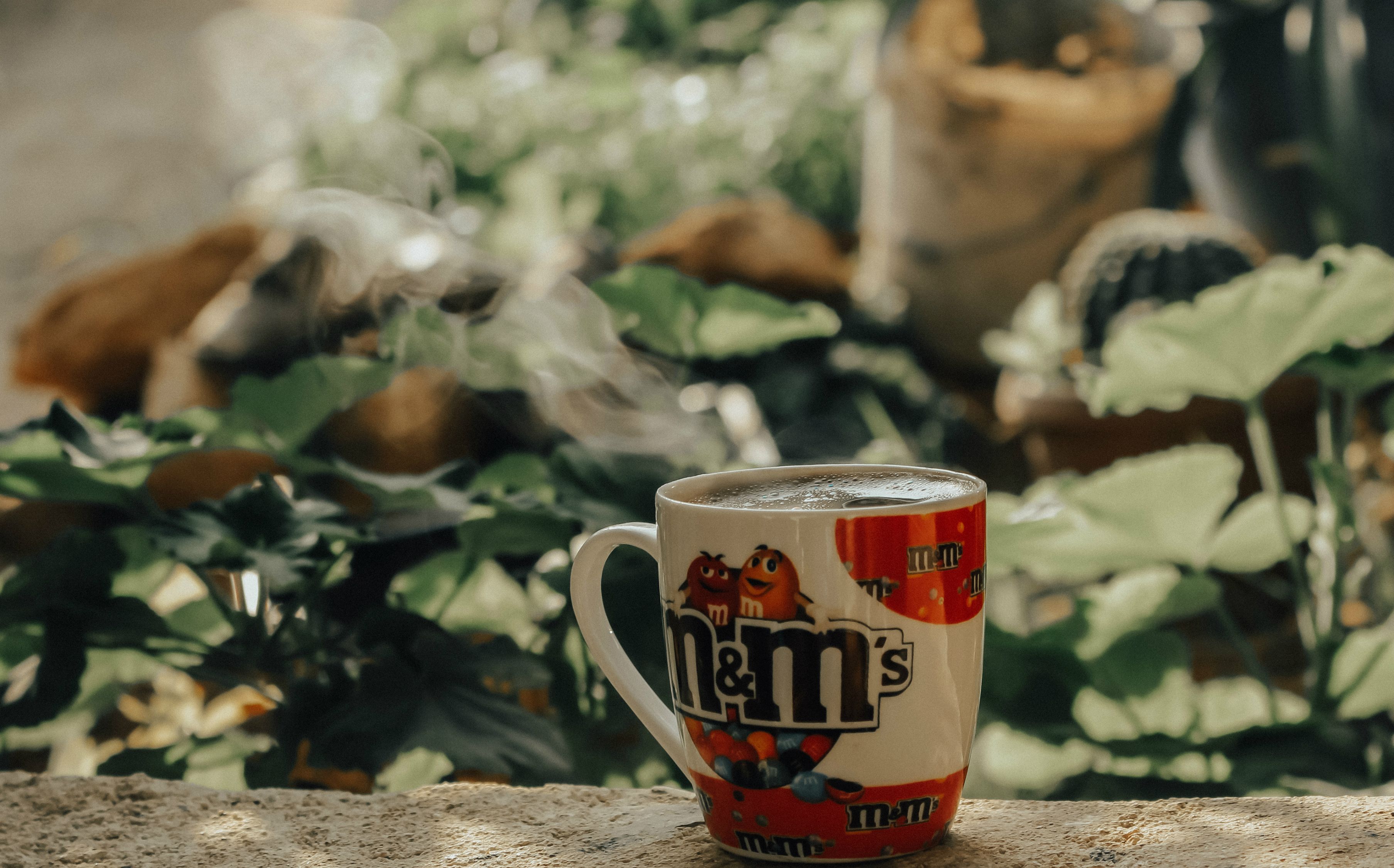 茶客365全部视频，365天，与茶同行的光阴故事